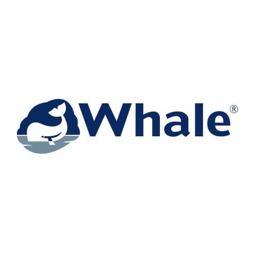 Kit de réparation pompe de circuit d'eau : de Whale RG-237182