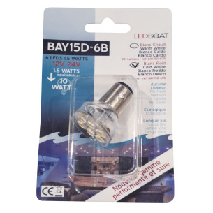 Ampoule 6 LEDS blanc froid  RG-253114