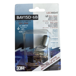 Ampoule 6 LEDS blanc chaud  RG-253134