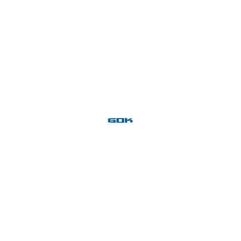 Détendeur Caramatic GOK RG-542134