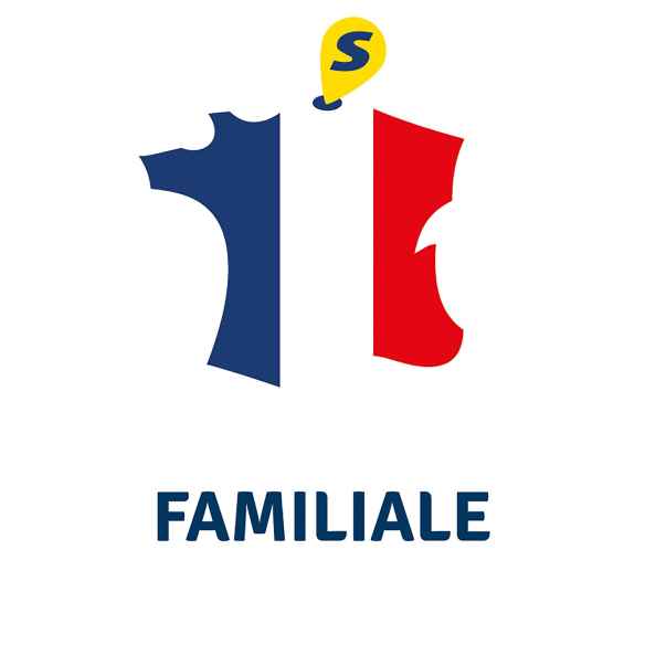 Hygromètre analogique Seko RG-692286