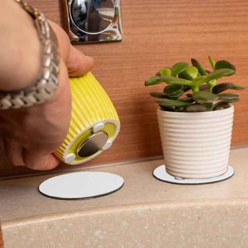 Blanc Silwy RG-314718