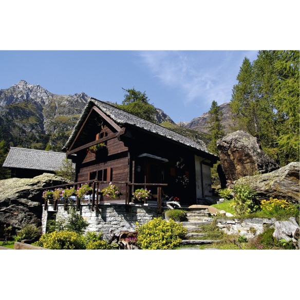 Chargeur de batterie portable utra-rapide Bullpower RG-653386