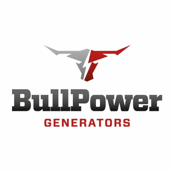 Chargeur de batterie portable utra-rapide Bullpower RG-653386