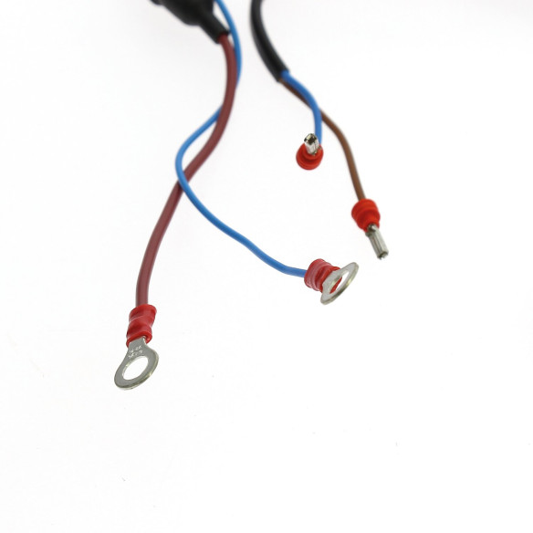 Option 2 pour Homegaz Premium Borel RG-543172