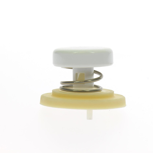 Bouton d'event pour toilette Thetford RG-EQ685398