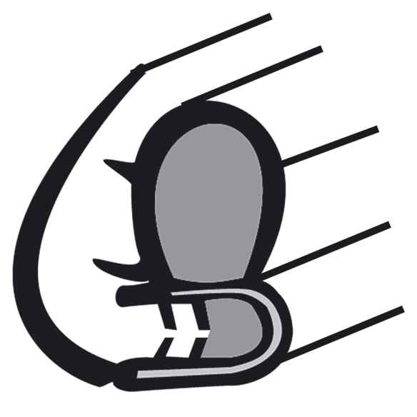 Joint de porte  RG-291479