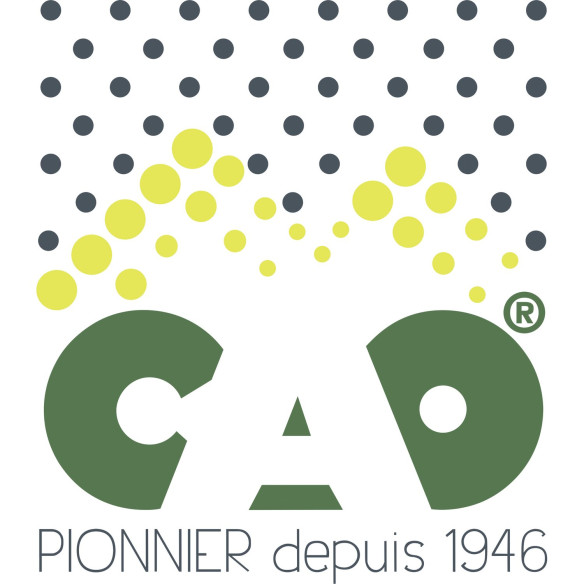 Lanterne CAMP pour extérieur CAO RG-791445