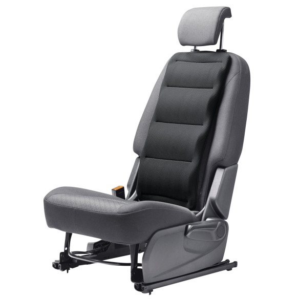 Coussin de soutien dorsal Froli RG-002617