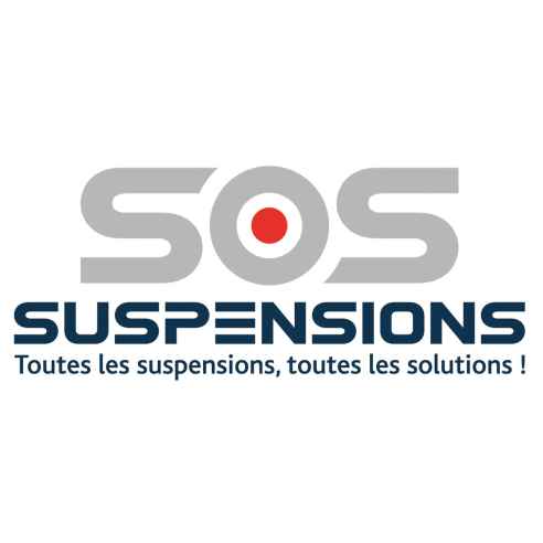 Jambes de force avant FSD Sos Suspensions RG-414168
