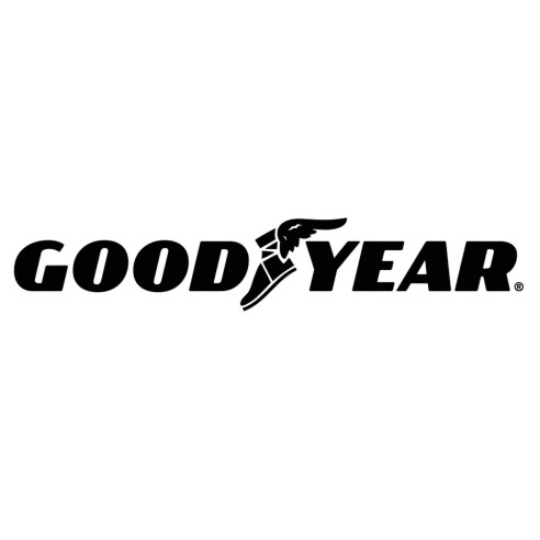 Vélo à assistance électrique en carbone Good Year RG-BQLDQQ18