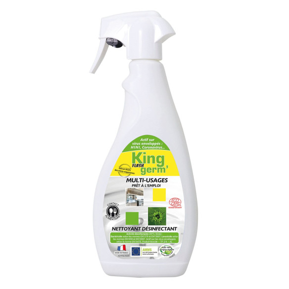 Pulvérisateur de 750mL KING RG-915761