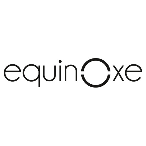 Batterie Lithium 100A spécial camping-car EquinOxe RG-052731C
