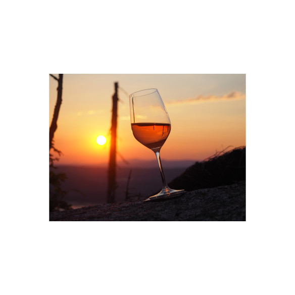 Lot de 2 verres à vin aimantés Silwy RG-918471