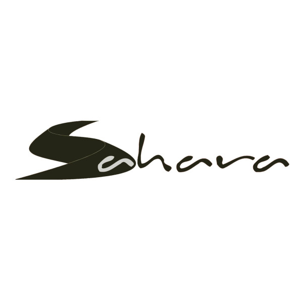 Mini barbecue à gaz portable Sahara RG-215744