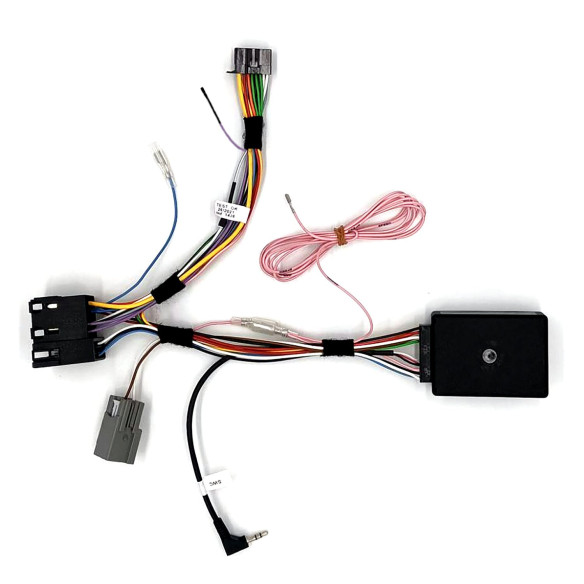 Commandes radio au volant pour FIAT DUCATO 8 Pioneer RG-659399