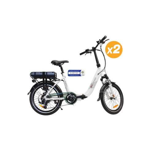 2 vélos à assistance électrique Confort Koonekt RG-BQLD1267