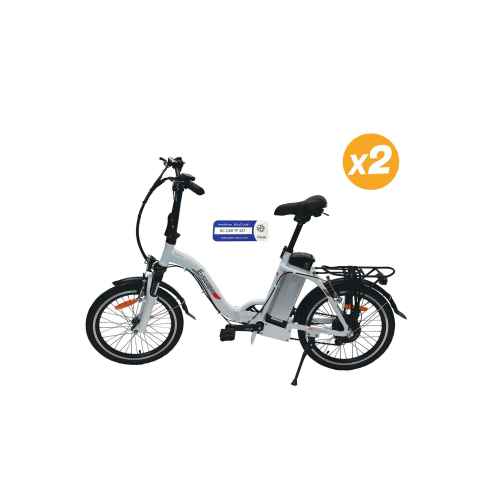 2 vélos à assistance électrique Classic E-scape RG-BQLD1278