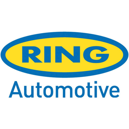 Chargeur intelligent RESC804FR Ring RG-752790