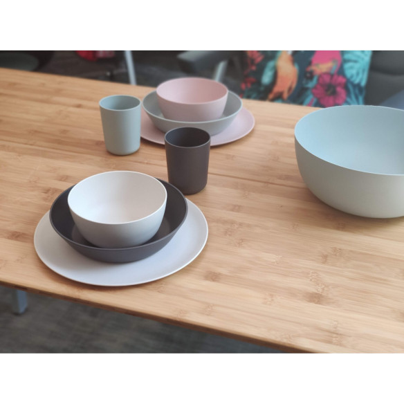 Lot de 4 bols Incasa RG-915556