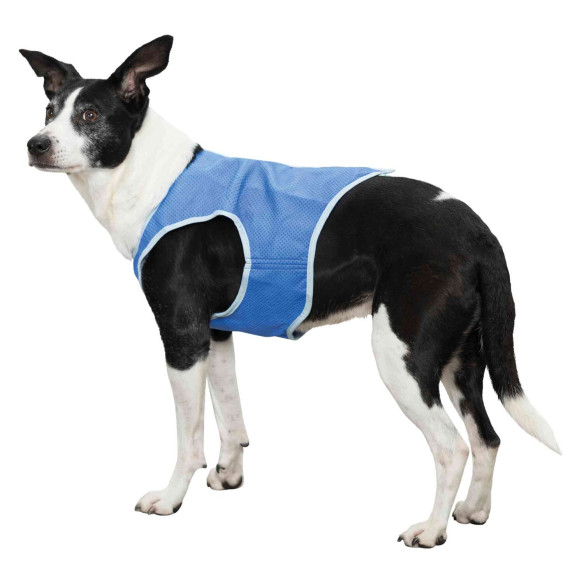 Gilet rafraîchissant pour chien taille M Trixie RG-919504