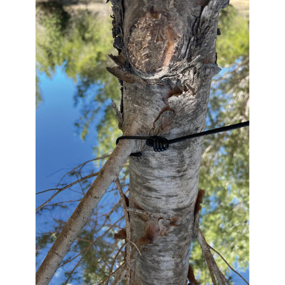 Corde à linge avec 12 pinces Incasa RG-073783