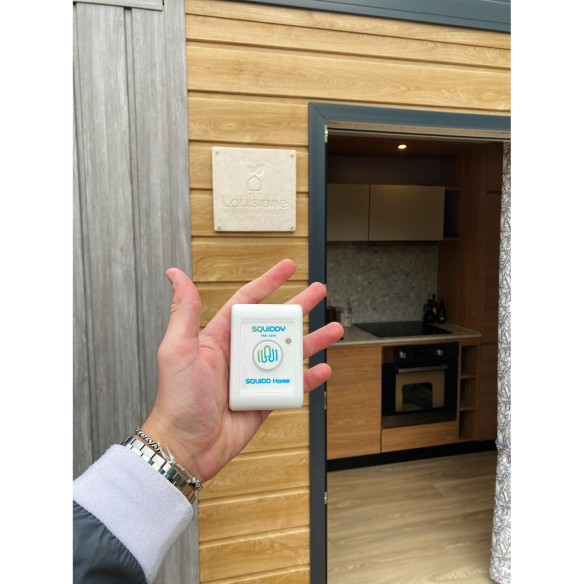 Squidd Home Squiddy RG-428321