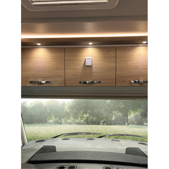 Squidd Move Squiddy RG-428331