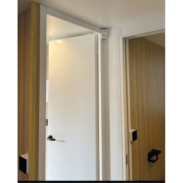 Squidd Move Squiddy RG-428331