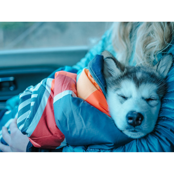 Couverture pour animaux Camp Vibes Two Voited RG-073815