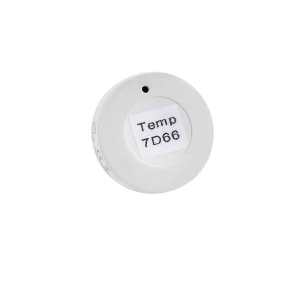 Temp x1 Avara RG-427253