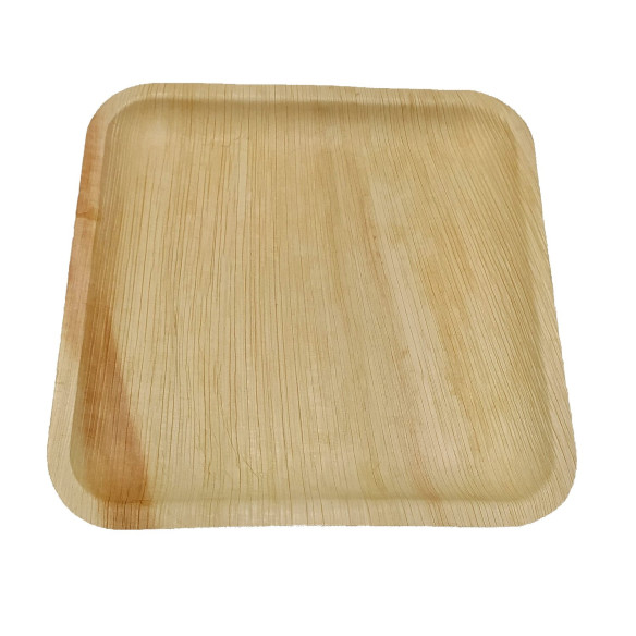 10 assiettes à dîner réutilisables ArecaBIO RG-916582