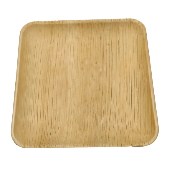 10 assiettes à dessert réutilisables ArecaBIO RG-916592