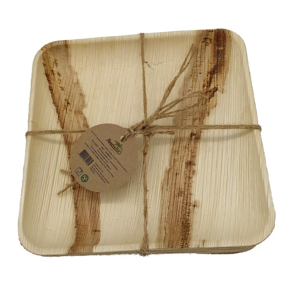 10 assiettes à dessert réutilisables ArecaBIO RG-916592