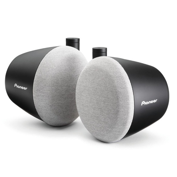 Enceintes Satellites Pioneer RG-104865