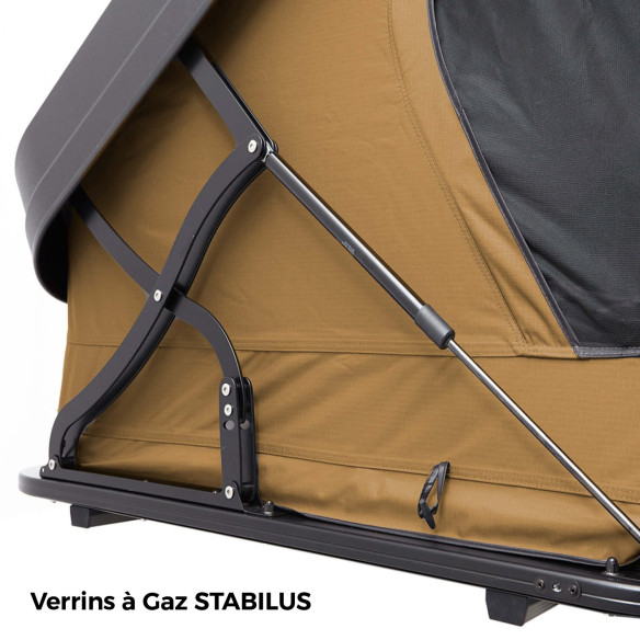 Coloris : Camel VickyWood RG-881986