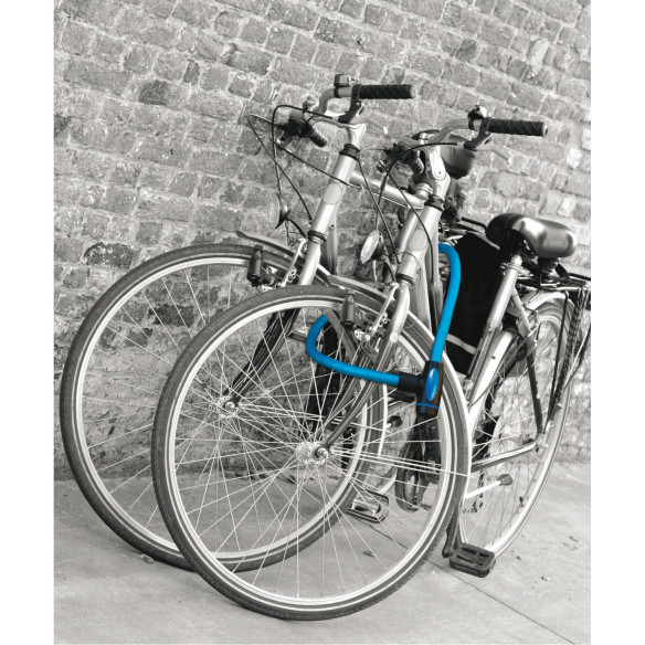 Antivol longueur 1 mètre Masterlock RG-172185