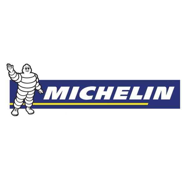 La France en van 2025 Michelin RG-113294