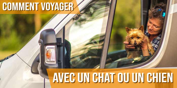 Comment faire pour voyager avec un chat ou un chien dans un camping-car ?