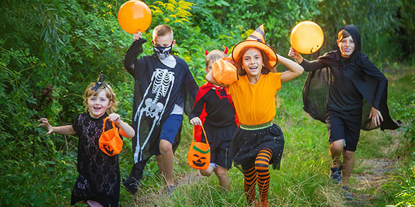 Voyage en camping-car pendant l'automne