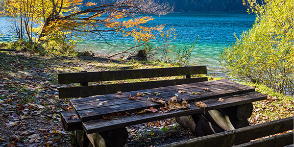 Lac de France en automne