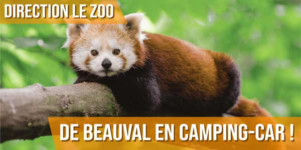 Direction le Zoo de Beauval en camping-car !